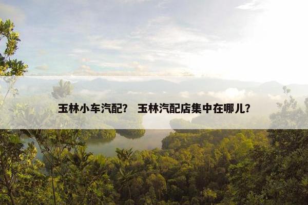 玉林小车汽配？ 玉林汽配店集中在哪儿？