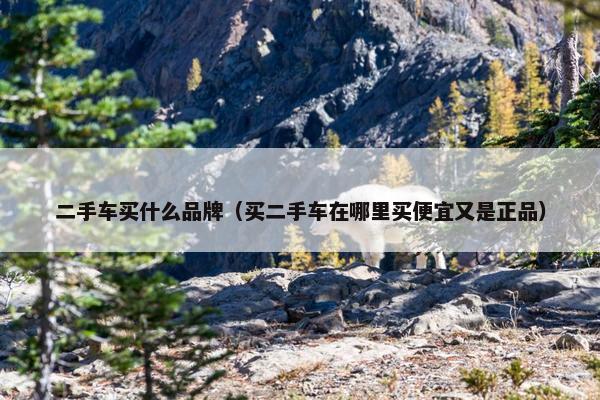 二手车买什么品牌（买二手车在哪里买便宜又是正品）