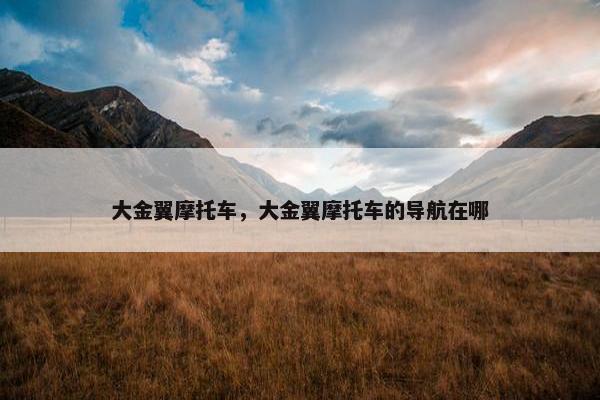 大金翼摩托车，大金翼摩托车的导航在哪