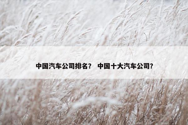 中国汽车公司排名？ 中国十大汽车公司？