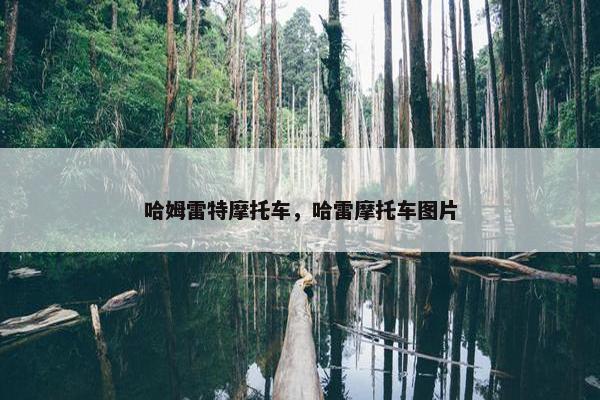 哈姆雷特摩托车，哈雷摩托车图片
