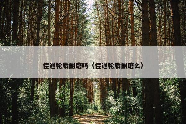 佳通轮胎耐磨吗（佳通轮胎耐磨么）