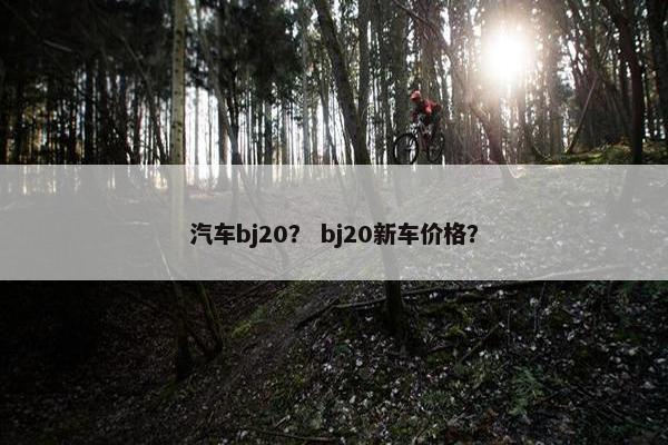 汽车bj20？ bj20新车价格？