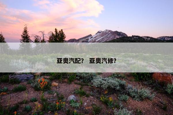 亚奥汽配？ 亚奥汽修？
