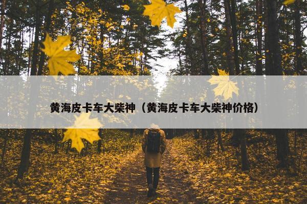 黄海皮卡车大柴神（黄海皮卡车大柴神价格）