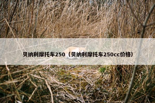 贝纳利摩托车250（贝纳利摩托车250cc价格）