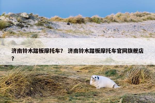 济南铃木踏板摩托车？ 济南铃木踏板摩托车官网旗舰店？