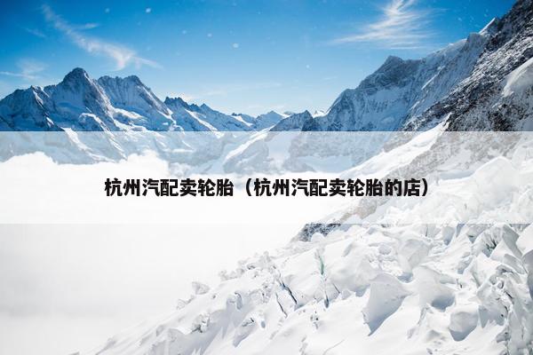 杭州汽配卖轮胎（杭州汽配卖轮胎的店）