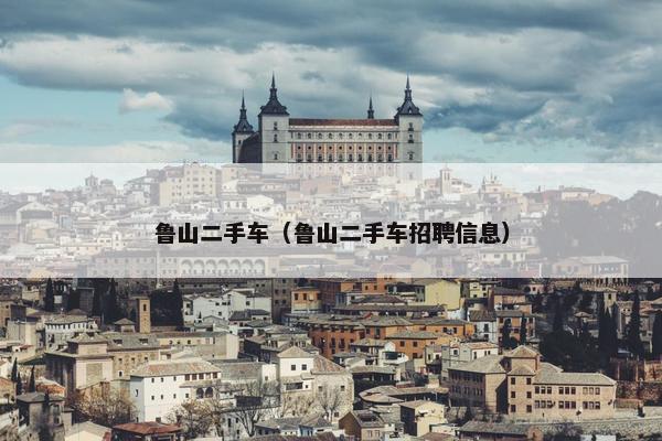 鲁山二手车（鲁山二手车招聘信息）