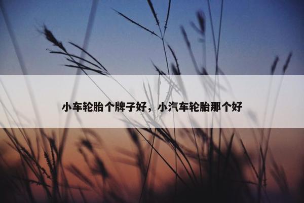 小车轮胎个牌子好，小汽车轮胎那个好