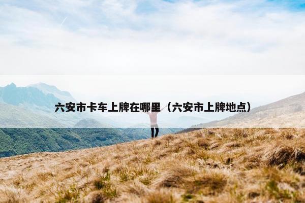 六安市卡车上牌在哪里（六安市上牌地点）