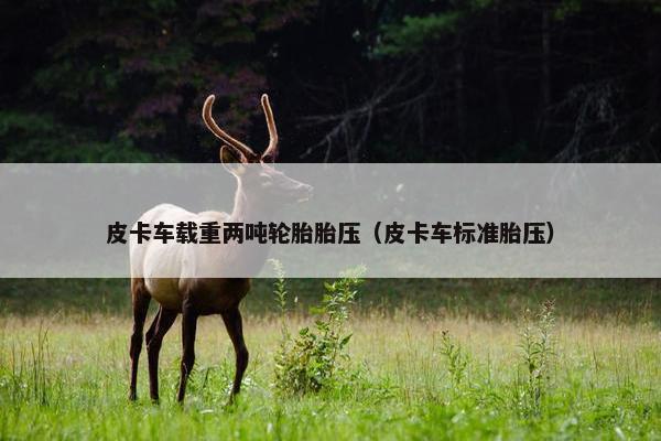 皮卡车载重两吨轮胎胎压（皮卡车标准胎压）