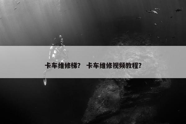 卡车维修梯？ 卡车维修视频教程？