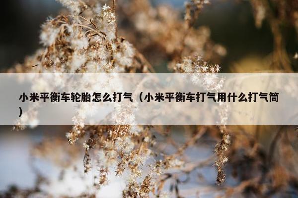 小米平衡车轮胎怎么打气（小米平衡车打气用什么打气筒）