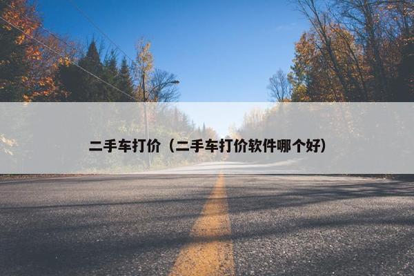 二手车打价（二手车打价软件哪个好）