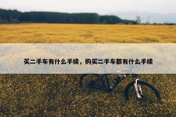 买二手车有什么手续，购买二手车都有什么手续