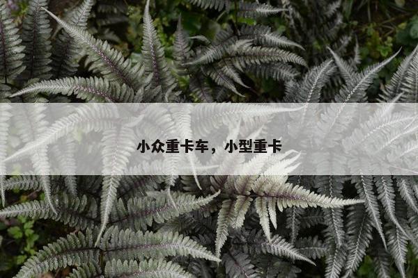 小众重卡车，小型重卡