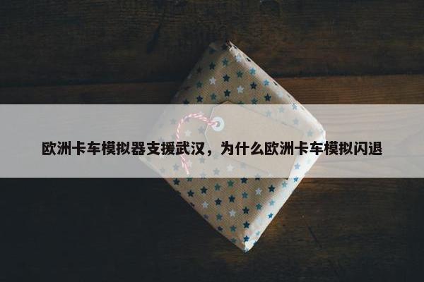 欧洲卡车模拟器支援武汉，为什么欧洲卡车模拟闪退