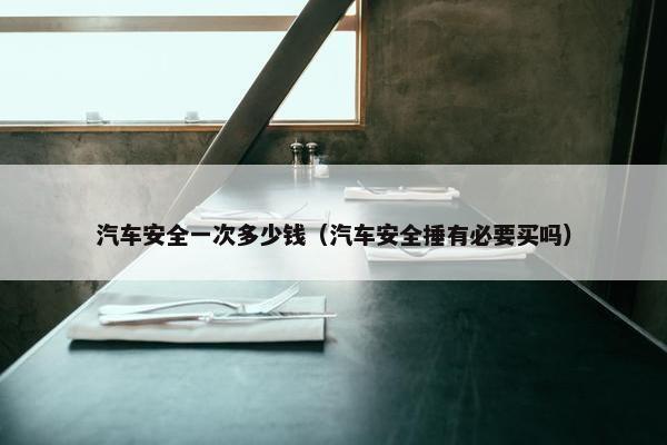 汽车安全一次多少钱（汽车安全捶有必要买吗）