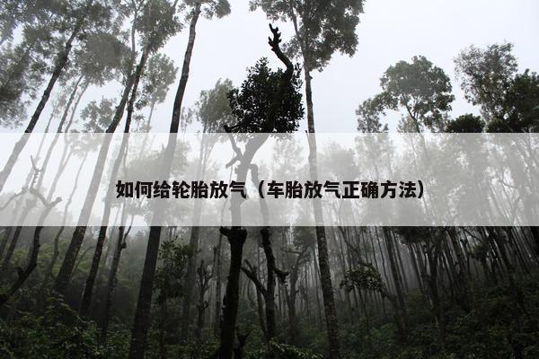 如何给轮胎放气（车胎放气正确方法）