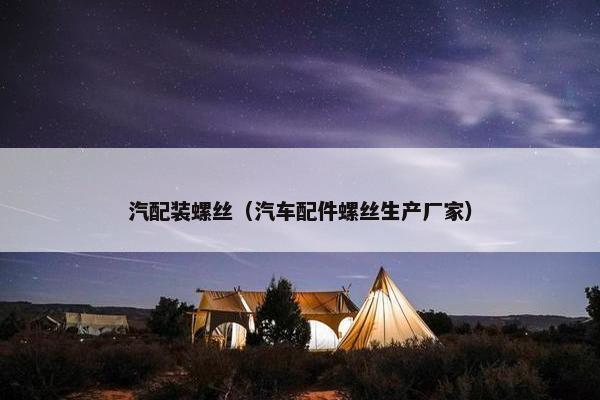 汽配装螺丝（汽车配件螺丝生产厂家）