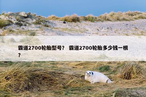 霸道2700轮胎型号？ 霸道2700轮胎多少钱一根？