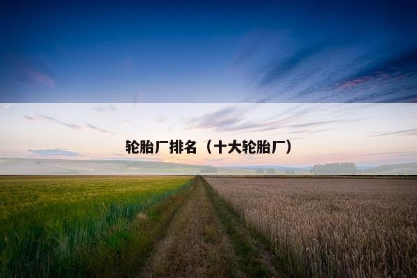 轮胎厂排名（十大轮胎厂）