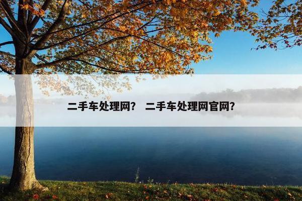 二手车处理网？ 二手车处理网官网？