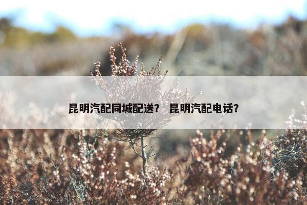 昆明汽配同城配送？ 昆明汽配电话？