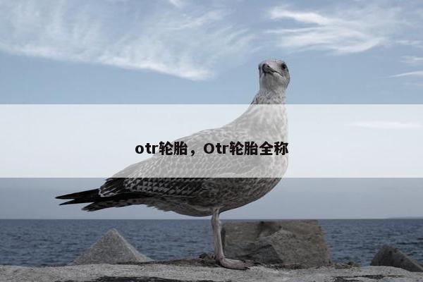 otr轮胎，Otr轮胎全称