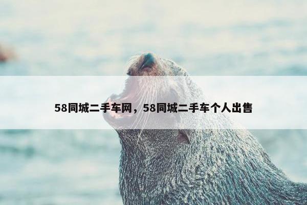 58同城二手车网，58同城二手车个人出售