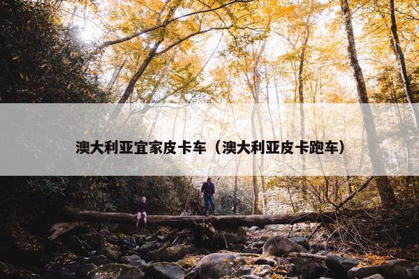 澳大利亚宜家皮卡车（澳大利亚皮卡跑车）