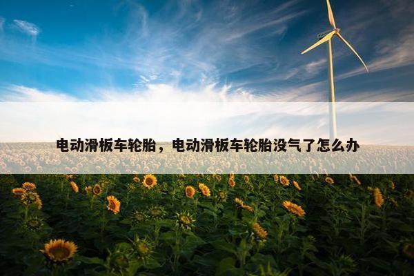 电动滑板车轮胎，电动滑板车轮胎没气了怎么办