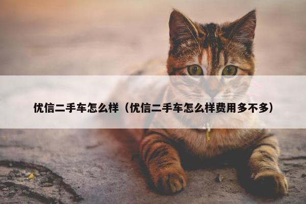 优信二手车怎么样（优信二手车怎么样费用多不多）