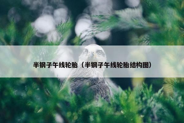 半钢子午线轮胎（半钢子午线轮胎结构图）