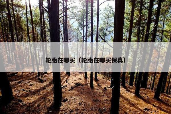 轮胎在哪买（轮胎在哪买保真）