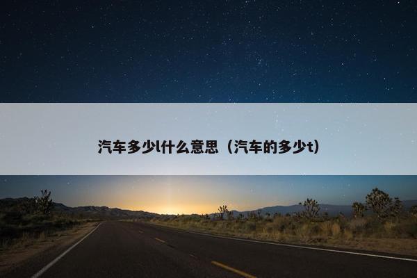 汽车多少l什么意思（汽车的多少t）