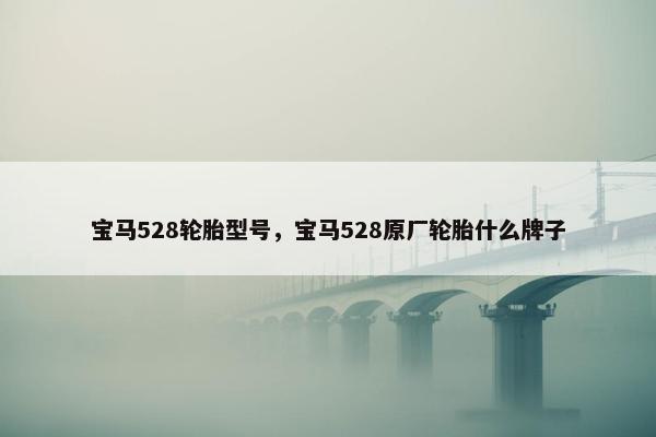 宝马528轮胎型号，宝马528原厂轮胎什么牌子