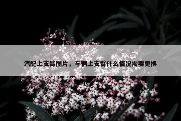 汽配上支臂图片，车辆上支臂什么情况需要更换