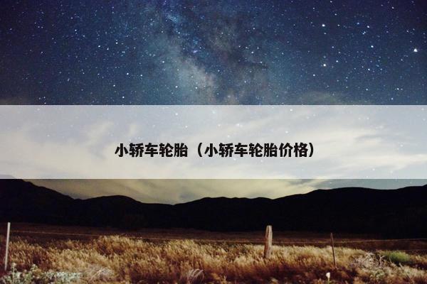 小轿车轮胎（小轿车轮胎价格）