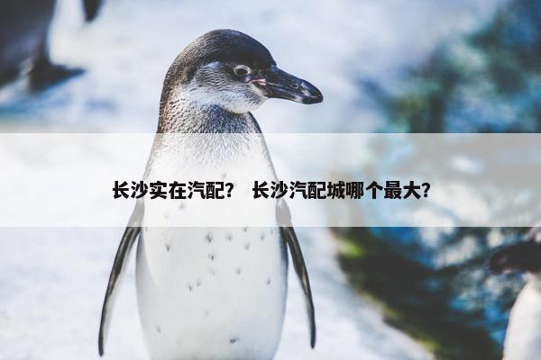 长沙实在汽配？ 长沙汽配城哪个最大？