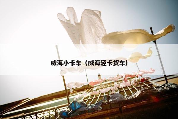 威海小卡车（威海轻卡货车）