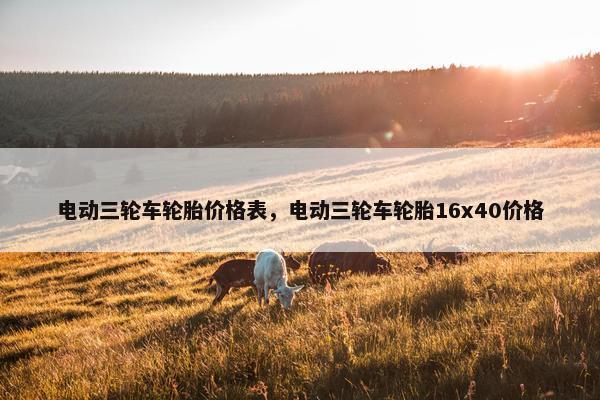 电动三轮车轮胎价格表，电动三轮车轮胎16x40价格