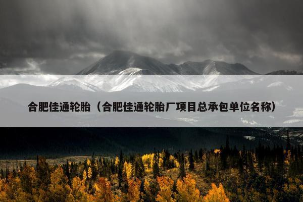 合肥佳通轮胎（合肥佳通轮胎厂项目总承包单位名称）