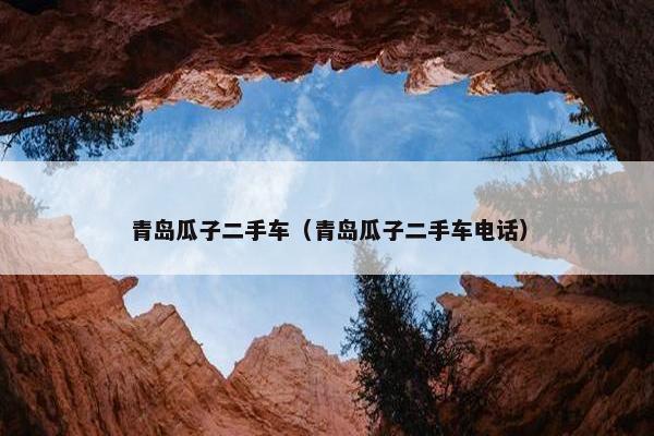 青岛瓜子二手车（青岛瓜子二手车电话）