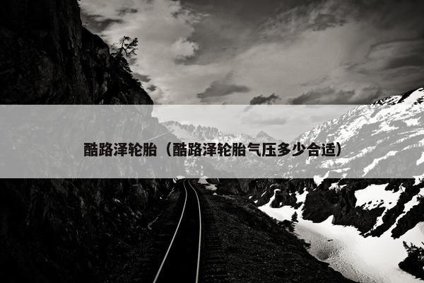 酷路泽轮胎（酷路泽轮胎气压多少合适）