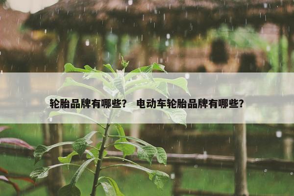 轮胎品牌有哪些？ 电动车轮胎品牌有哪些？