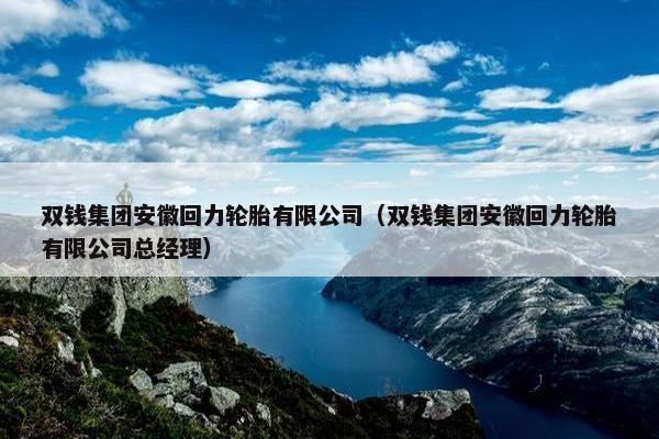 双钱集团安徽回力轮胎有限公司（双钱集团安徽回力轮胎有限公司总经理）