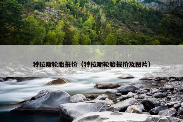 特拉斯轮胎报价（特拉斯轮胎报价及图片）