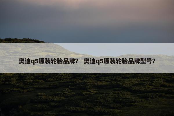 奥迪q5原装轮胎品牌？ 奥迪q5原装轮胎品牌型号？